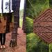 Mostra “Vivacidade: arte, cidade e meio ambiente” leva arte digital para a Barra Funda