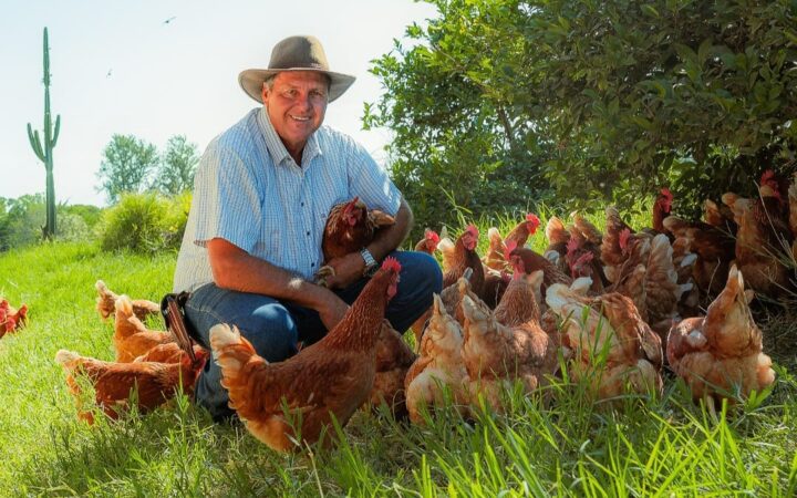 Brasil rumo ao Top 10 em ovos; Label Rouge lidera inovação sensorial