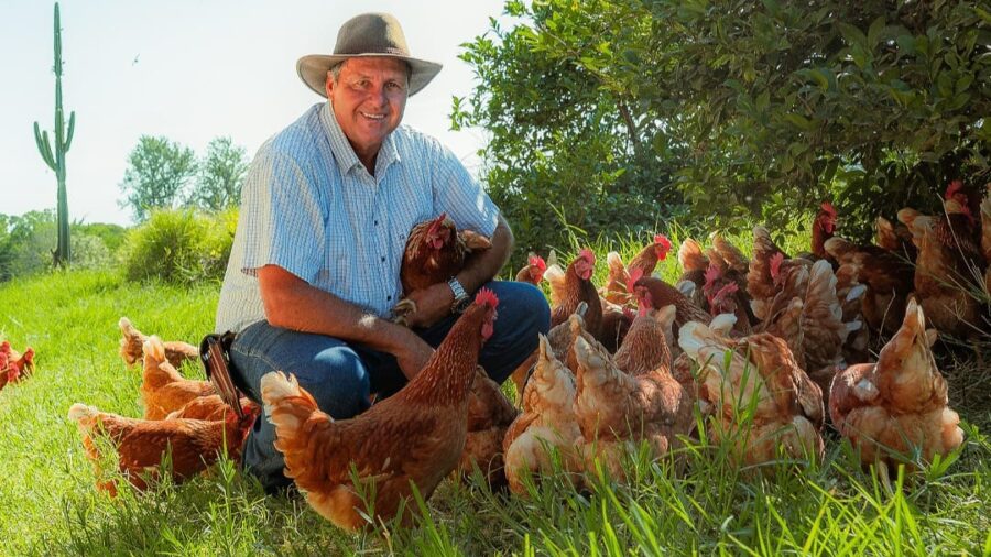 Brasil rumo ao Top 10 em ovos; Label Rouge lidera inovação sensorial