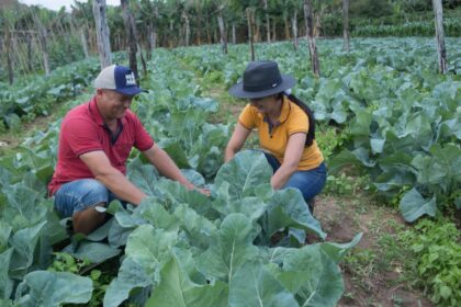 Vida no campo ganha espaço nas redes e aproxima público urbano da rotina rural