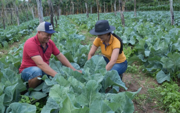 Vida no campo ganha espaço nas redes e aproxima público urbano da rotina rural