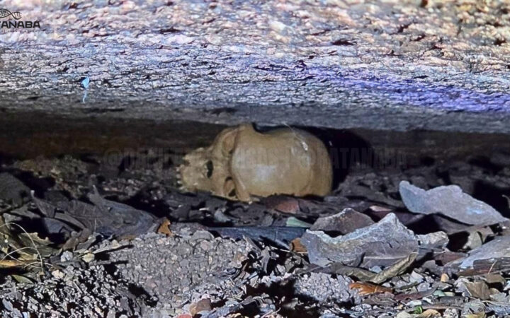 Ratanabá: descobertas monumentais e expedições de ponta revelam os mistérios de uma civilização ancestral na Amazônia
